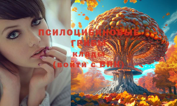 кокаин премиум Заводоуковск