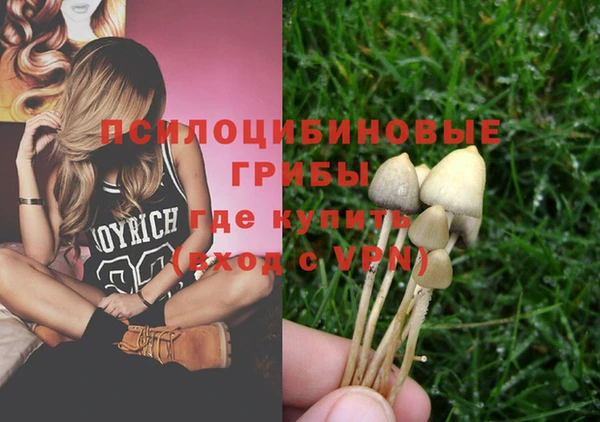 трава Заволжье