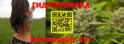 ГАЛЛЮЦИНОГЕННЫЕ ГРИБЫ Волжский