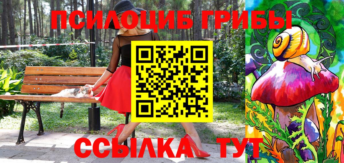 Галлюциногенные грибы Cubensis  где можно купить наркотик  Знаменск 